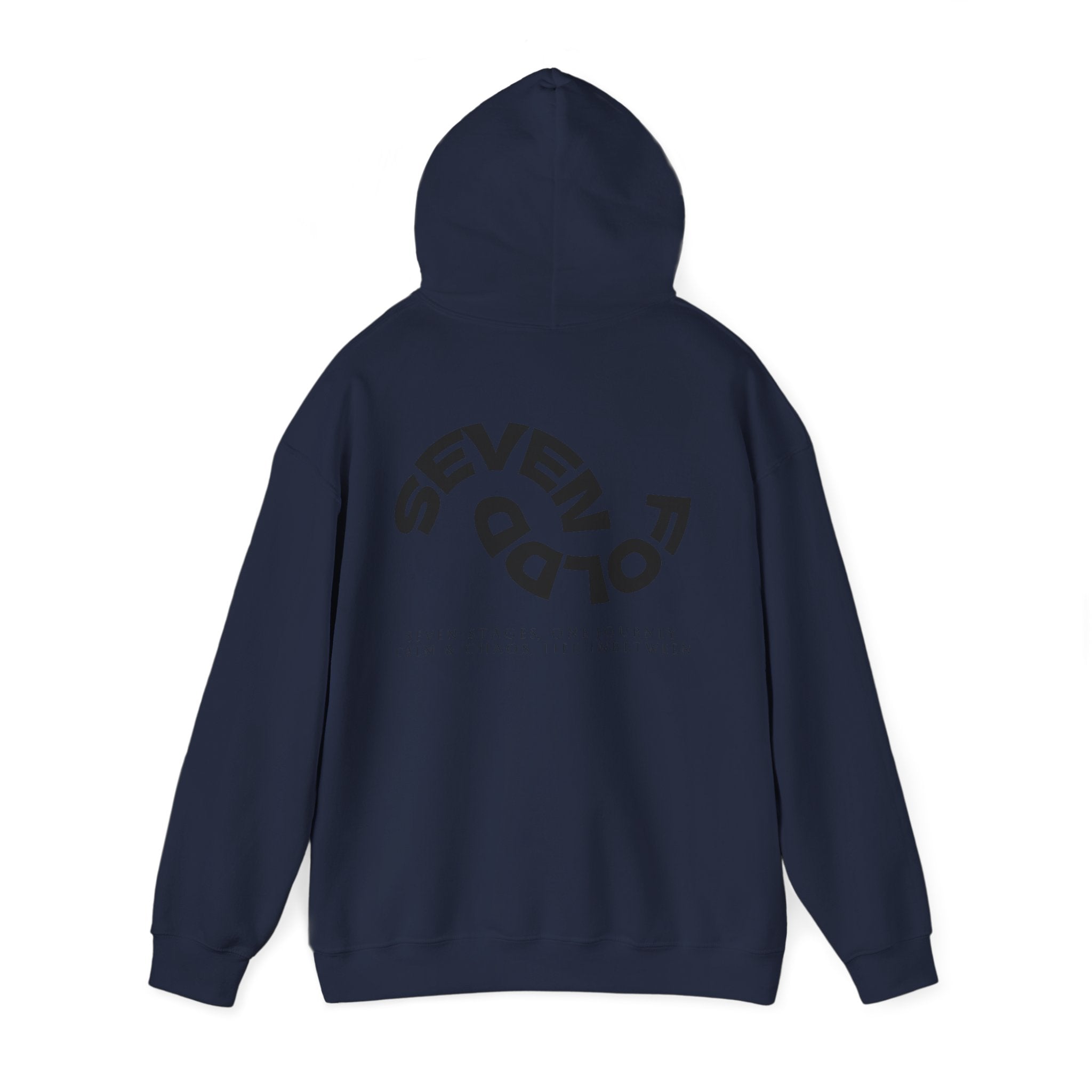 Hoodie - Vintage Moon & 'Stay Wild' Minimal Graphic