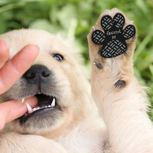 4-Pack Dog Anti Slip  Paw Protection Stickers Hard Floor or Injuries